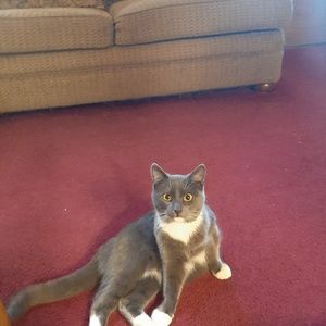 Meet your Posher, Diane